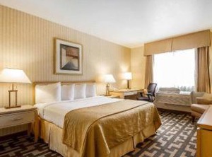 Quality Inn Petaluma | Petaluma