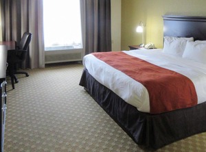 Quality Inn | Alexandria