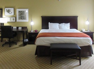 Quality Inn | Alexandria