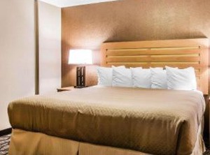 Quality Inn | Warren