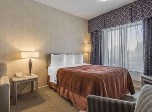 Quality Whit | Whitby