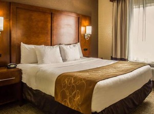 Quality Nyc Gateway | Industry