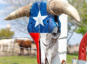 Wind Song Heritage Haus | New Braunfels