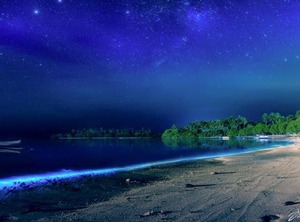 Rangali Etos | Guraidhoo