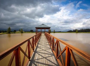 Raptor Rise | Tulbagh