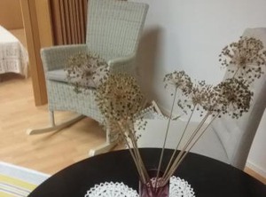 Rba Renthouse | Kronoby