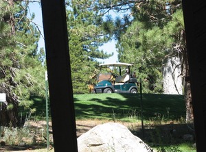 Woodlands | Mammoth Lakes