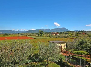 Residence Il Melograno Raffa | Raffa