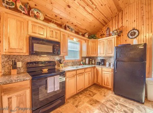 Sunflower | New Braunfels