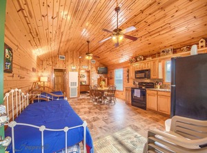 Sunflower | New Braunfels