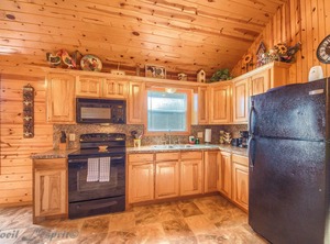 Sunflower | New Braunfels