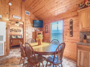 Sunflower | New Braunfels