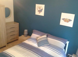 Sannan Court | Llanfynydd