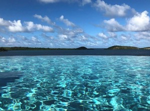 Seatons | Freemans Bay