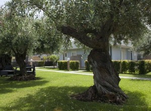 Villa Galati Mascali | Fondachello