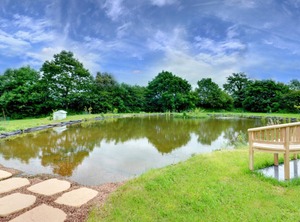 Serenity | Sheepwash