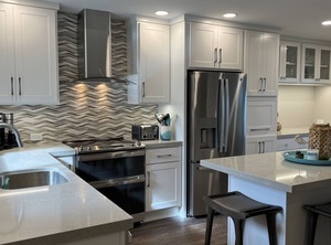 Ocean Shorebirds | Pajaro Dunes