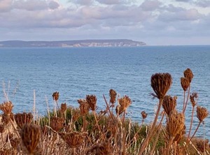 Shorefield Country Park | New Forest District