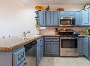 Sonoran Sea Ssw | Sandy Beach