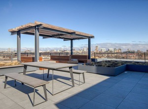 Lincoln Park Lounge Roof Depaul | Sheffield Neighbors