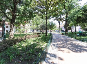 Amoreiras | Santa Isabel