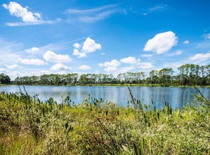 Swiss Stephanie | Clermont