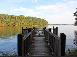 Tentrr State Park Site Louisiana North Toledo Forest Glade | Zwolle