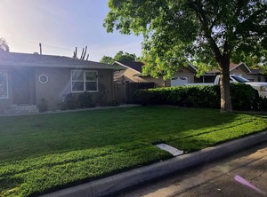 The Backyard | Modesto