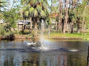 Enchanted Acres Ranch | Cocoa