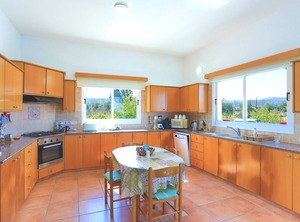 The Vines Latchi | Latchi