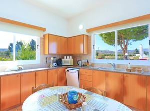 The Vines Latchi | Latchi