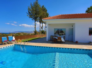 The Vines Latchi | Latchi