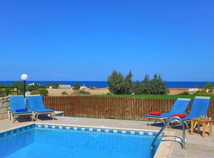 The Vines Latchi | Latchi