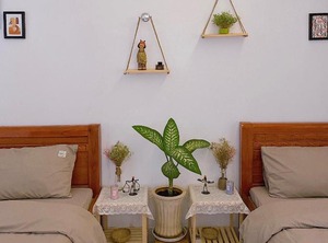 Titimu Homestay | Vung Tau