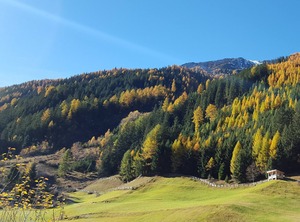 Silvretta | Vergoetschen