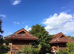 Deejai Pai Backpackers Adults | Pai