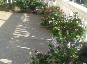 Beach Živogošće Porat Makarska | Zivogosce