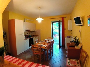 Ulivi Sul Garda | Arias