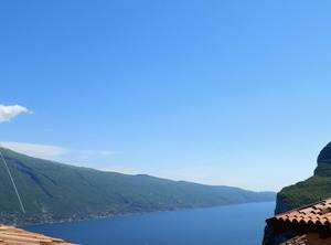 Ulivi Sul Garda | Arias