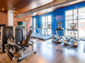 Viagem | Plaza Midwood