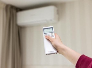 Amber Drop | Palanga