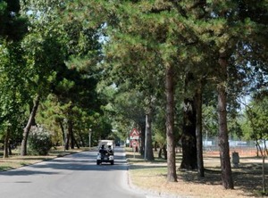 Villa Quadrilocale | Rosolina