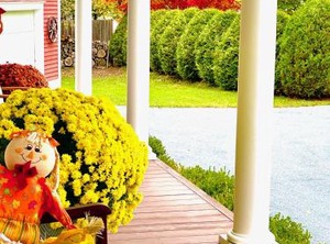 Williston Village Inn | Williston North