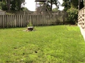 Sarnia City Cottage | Sarnia