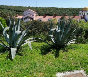 Duga Uvala 