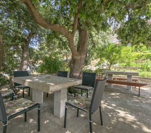 Apartments Jozo 