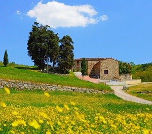 Locazione Turistica Selvapiana 