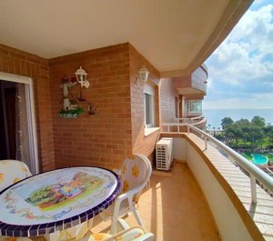 Acv Caribe Linea Planta Sur 