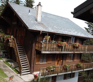 Bärgblüemli Stock West 