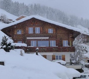 Chalet Seeberg 